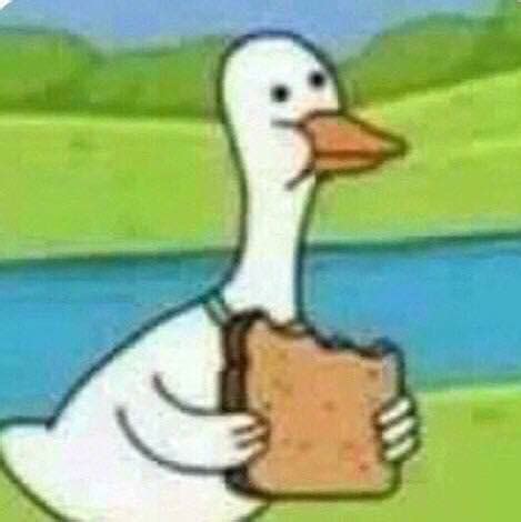 [TOMT] [IMAGE] Photo of an animated duck eating bread : r/tipofmytongue