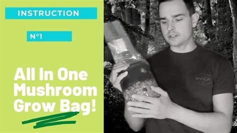 All In One Mushroom Grow Bag [Instructional Video] | Stuffed mushrooms, Grow bags, Instructional ...