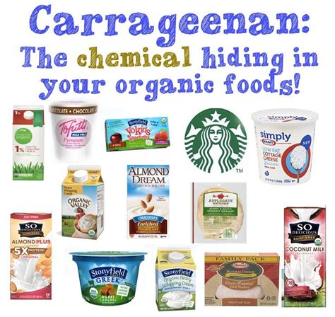 Carrageenan Safety, Side-Effects & How to Avoid It | Organic recipes ...