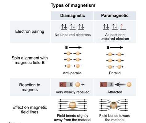 Diamagnetic/Paramagnetic & Magnetic field Could someone explain this to me? : r/Mcat