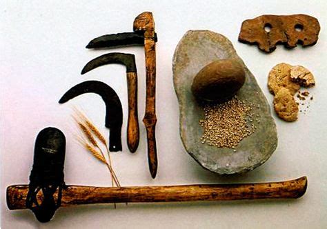 Early Agricultural Tools Humans began fanning about 12,000 years ago. The ability to control ...