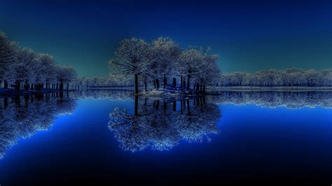 Winter Trees At Night