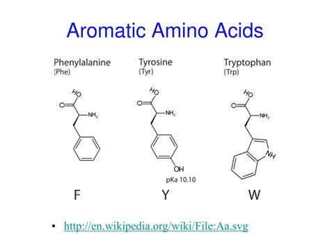 PPT - CHAPTER 3 Amino Acids, Peptides, Proteins PowerPoint Presentation - ID:844814