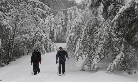 North and South Carolina to be pummeled by 'above average' snow as rare ...