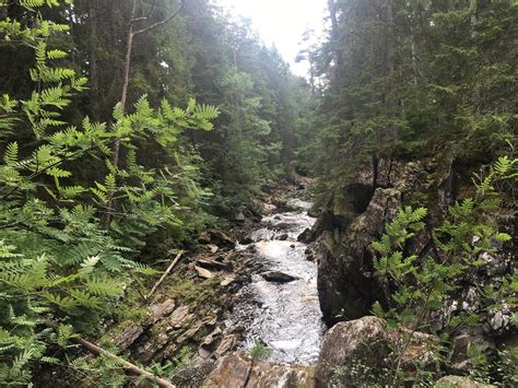 Cairngorms National Park - Scotland : r/Outdoors