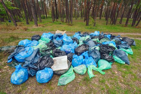 Rubbish heap in a forest stock image. Image of outdoor - 92559925