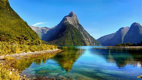 Scenic Cruising (Fiordland National Park), New Zealand | Cruiseget.com