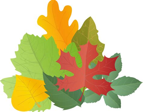 Leaves colorful set in realistic style. Autumn leaf. Colorful PNG ...