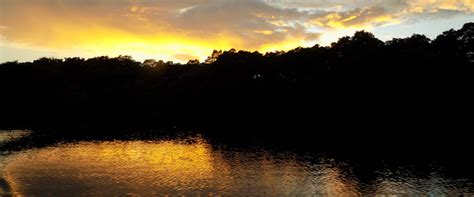 Caroni Swamp and Bird Sanctuary, Trinidad - Happy Days Travel