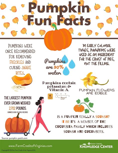 Fun and Surprising Pumpkin Facts | Farm Credit of the Virginias