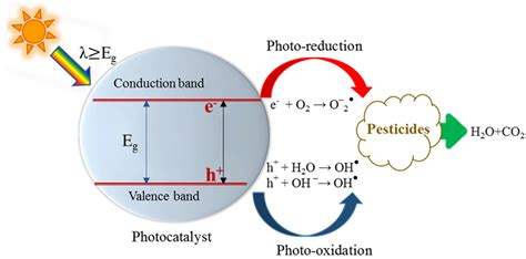 Molecules | Free Full-Text | Study of the Photocatalytic Degradation of Highly Abundant ...