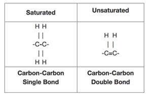 What is the difference between saturated and unsaturated fatty acids?