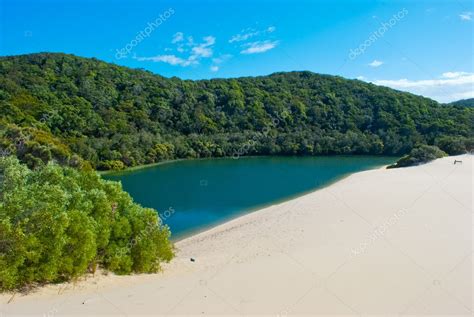 Fraser Island, Queensland, Australia Stock Photo by ©Ladiras 10541546