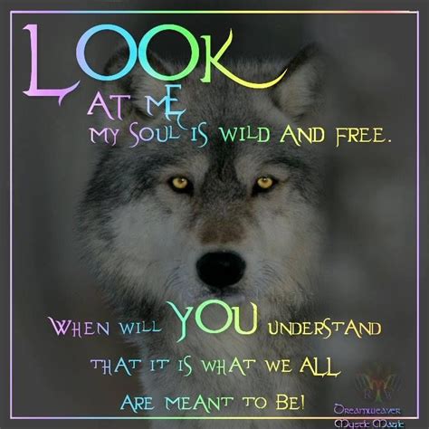 264 best Wolf spirit guide images on Pinterest | Wolves, Spirit animal ...