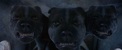 Image - Fluffy the three-headed dog.png | Harry Potter Wiki | FANDOM powered by Wikia