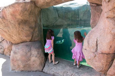 Family Bucket List: Stroll the NEW Zoo This Summer