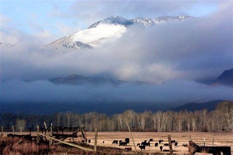 (I've been here) Challis | Challis idaho, Idaho, Heaven on earth