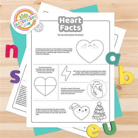 10+ Interesting Facts About The Heart For Kids | Kids Activities Blog