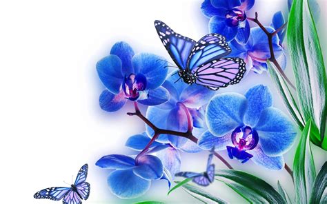 🔥 [74+] Blue Butterfly Wallpapers | WallpaperSafari