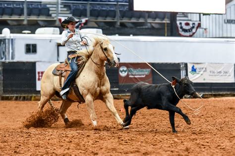 Breakaway Roping