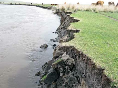 Riverbank erosion on the Kharaa. | Download Scientific Diagram