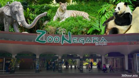 MCO 2.0: Zoo Negara Only Has Enough Funds To Last Till April