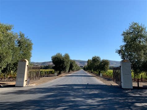 Harvest at The Spectacular Opus One Winery Napa Valley