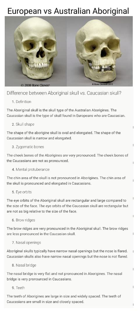 European vs Australian Aboriginal Difference between Aboriginal skull ...