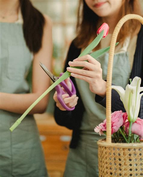 Crop florist cutting stem of flower · Free Stock Photo