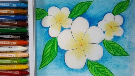 How to draw plumeria||champa flower||step by step||kath golaper drawing easy||কাঠগোলাপ এর ...