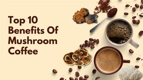 Mushroom Coffee: Top 10 Benefits – Fuel Nutrition