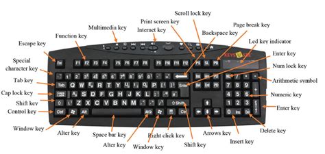 Mouse and Keyboard Operations. Mouse and keyboard. | by MIT Academys | Medium