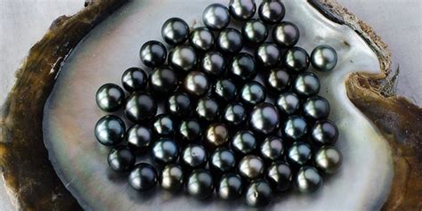 how-to-choose-black-pearls