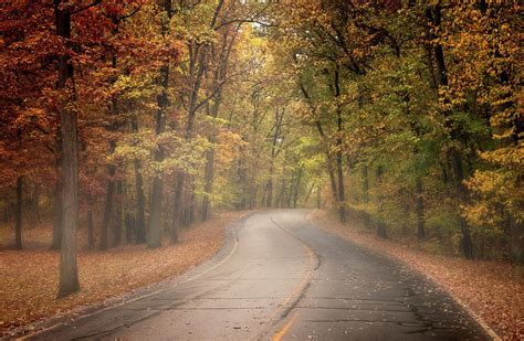 Autumn Road Photograph by Pat Eisenberger - Fine Art America