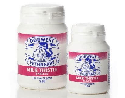 Milk Thistle for Dogs, Is Milk Thistle Good for Dogs? Benefits, Liver ...