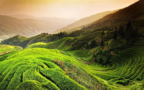 rice terraces field #nature #landscape rice paddy #China #mountains # ...