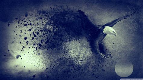 Black Eagle Wallpapers - Top Free Black Eagle Backgrounds - WallpaperAccess