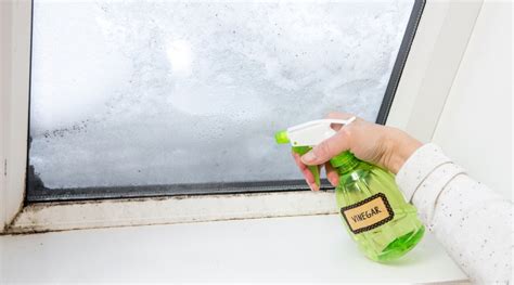 How to Clean Windows with Vinegar?