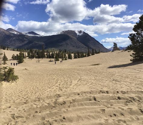 Carcross Desert, located outside Carcross, Yukon, Canada : r/desertporn