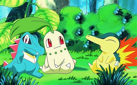 Totodile Pokemon Chikorita Pokemon Cyndaquil Pokemon Wallpaper - Resolution:1440x900 - ID:409537 ...