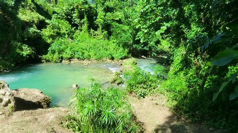 Jamaica: a river in the rainforest of Cranbrook Forest Par… | Flickr