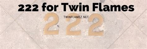 [Ultimate Guide] 222 Twin Flame Angel Number | Twin Flamez