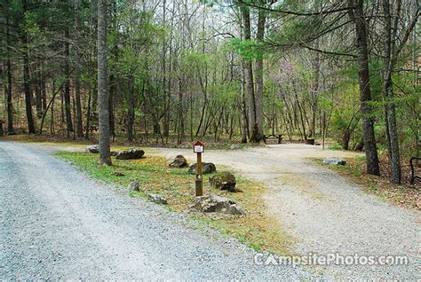 Cave Mountain Lake - Campsite Photos, Reservations & Camping Info