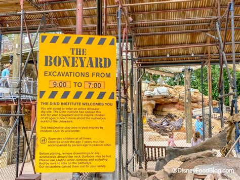 PHOTOS: The Boneyard Play Area Has Reopened in Disney's Animal Kingdom ...