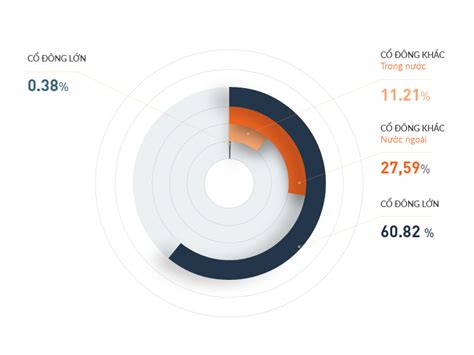 Infographic - Pie chart visualization by Binh Le on Dribbble