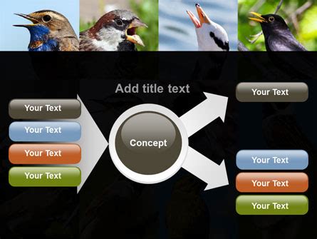 Birds Presentation Template for PowerPoint and Keynote | PPT Star