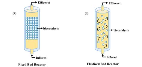 Schematic diagram of fixed bed reactor and fluidized bed reactor: (a)... | Download Scientific ...