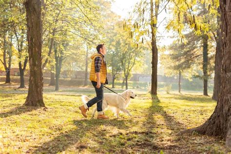 Man walking with dog in a park — Stock Photo © ljsphotography #89353316