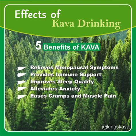 Effects Of Kava Drinking - 100% Pure Fijian Kava