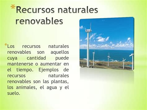 RECURSOS NATURALES RENOVABLES